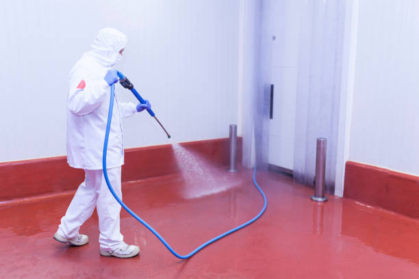 Best Roof Washing  in Spokane, WA